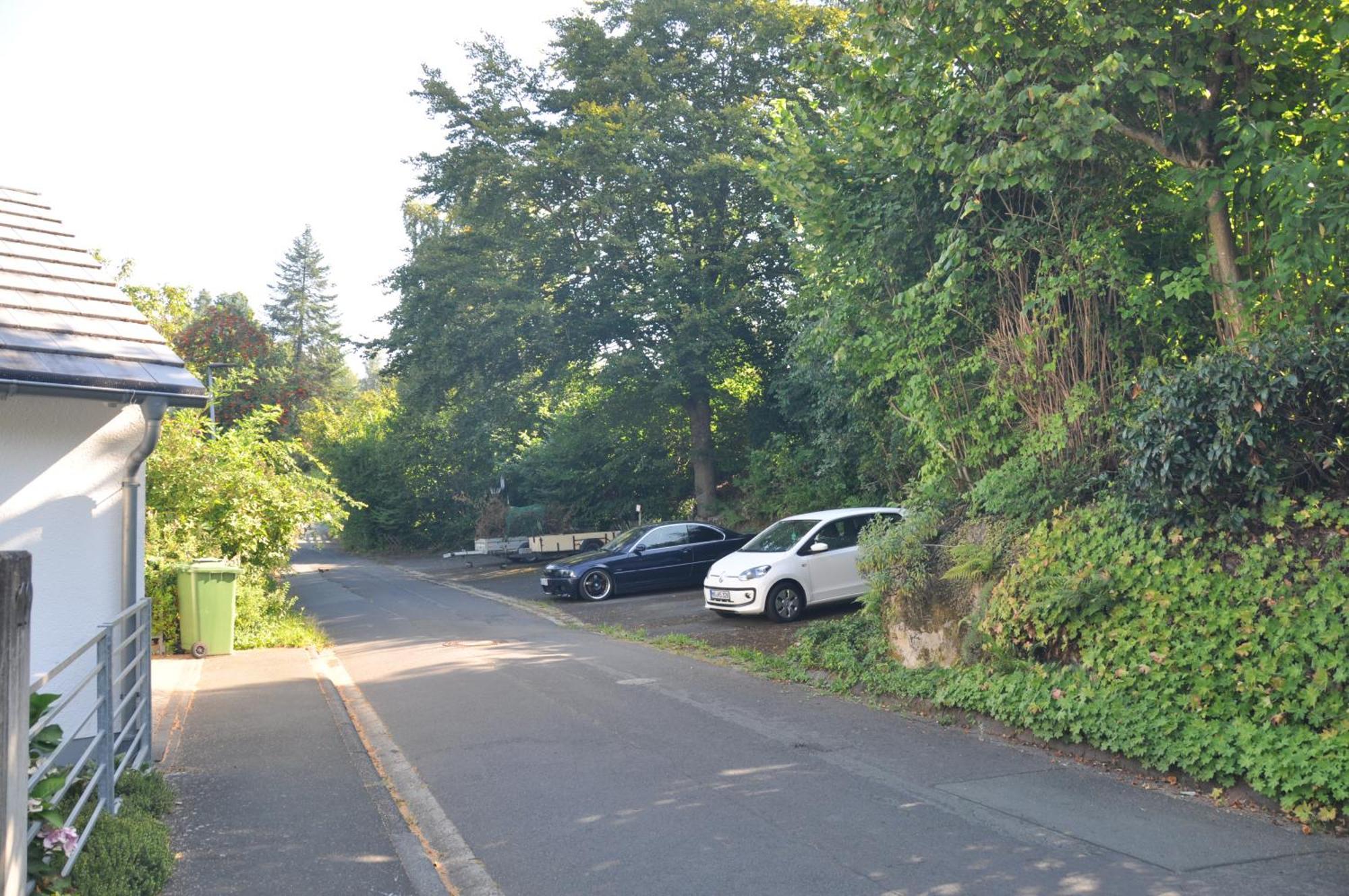 Geraeumige 2-Z Wohnung Im Gruenen, Garten, Terrasse, Ruhig, Natur, Phantastischer Blick! Marburg Exterior photo